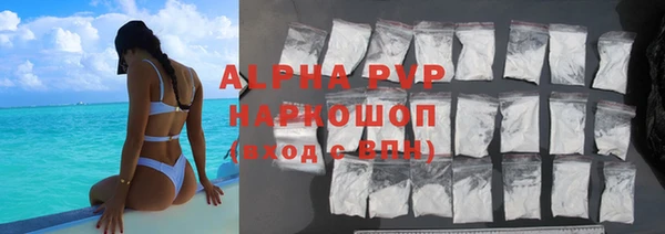 индика Волоколамск