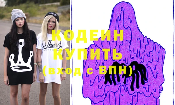 индика Волоколамск