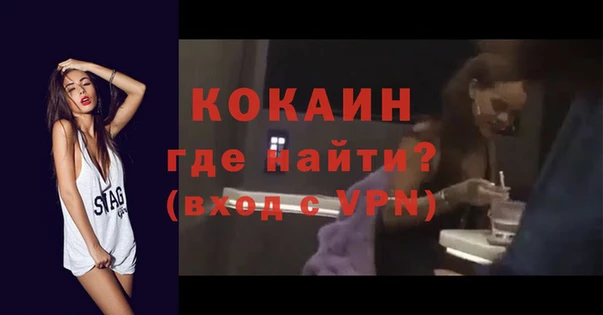 индика Волоколамск