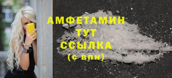 индика Волоколамск