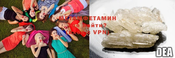 индика Волоколамск