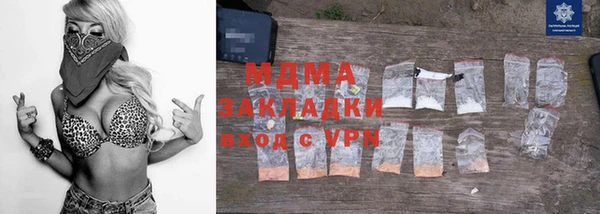 индика Волоколамск