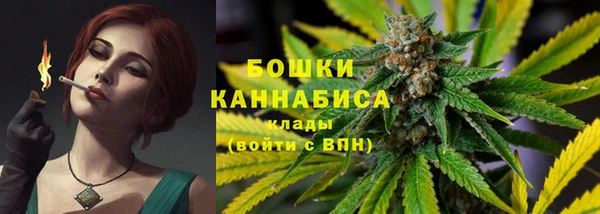 индика Волоколамск